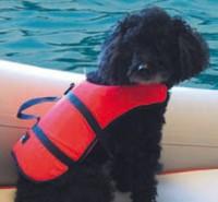 Kutya mentőmellény - Besto Dinghy mentőmellény tükiz ++70kg 50N - Mentőmellények, vízisímellények, Biztonsági és mentőfelszerelések, Hajófelszerelés hajósbolt, hajóalkatrészek széles választéka